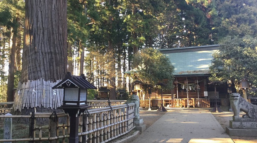 ⛩️ 히다카 신사 (히타카 진자) 이미지 3